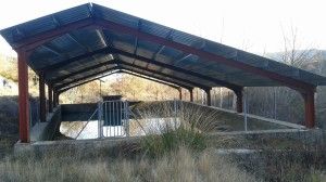 IMG-20160805-WA0022      