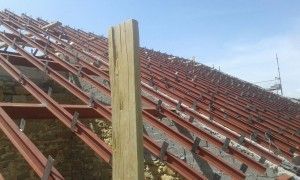 IMG-20160808-WA0017   